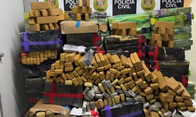 Uma Carga de Arroz Que Escondia Mais do Que Gr os A Opera o que Desmascarou 1 5 Tonelada de Maconha em Plena Rodovia