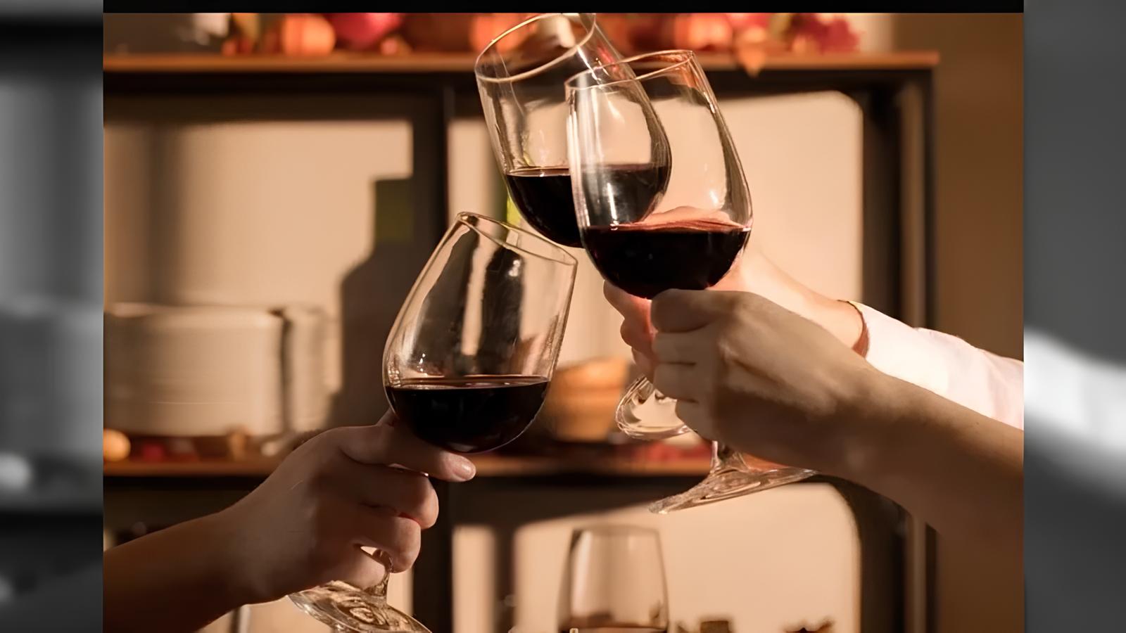 Uma Viagem Pelo Mundo do Vinho: Como Sorocaba Transformou-se no Epicentro da Gastronomia e Cultura Enológica 12 Uma Viagem Pelo Mundo do Vinho Como Sorocaba Transformou se no Epicentro da Gastronomia e Cultura Enol gica
