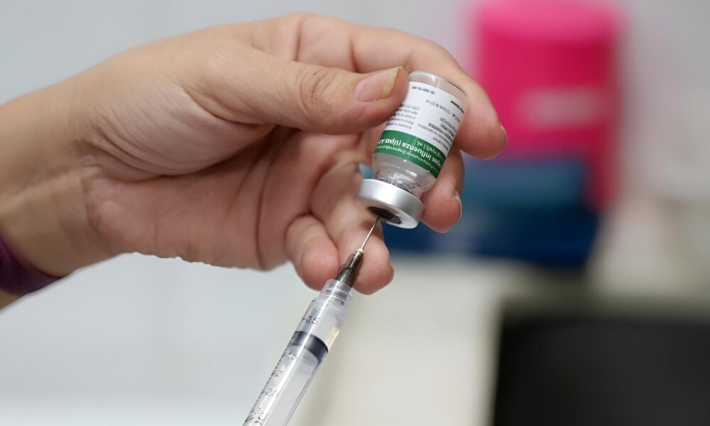 Vacina o em Shoppings de Campinas Uma Estrat gia Inovadora para Combater a Gripe e Outras Doen as