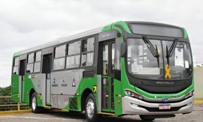 nibus de Campinas Recebem La os Amarelos Uma Campanha Silenciosa que Grita por Seguran a no Tr nsito