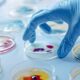 A Ascens o do Profissional de Controle de Qualidade Como o LinkedIn Est Conectando Talentos em Microbiologia ao Futuro