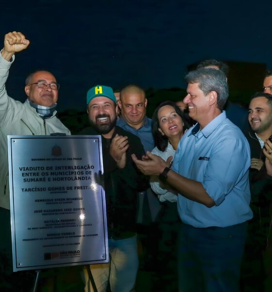 A Grande Conex o Como o Viaduto Sumar Hortol ndia Est Transformando a Regi o em um P lo de Oportunidades