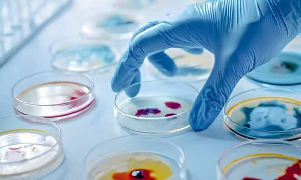 A Jornada de Um Analista Controle Qualidade Jr A Porta de Entrada para o Futuro da Microbiologia em Indaiatuba