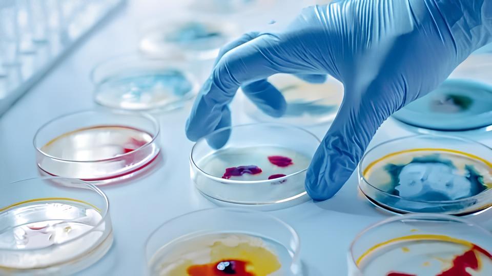 A Jornada de Um Analista Controle Qualidade Jr: A Porta de Entrada para o Futuro da Microbiologia em Indaiatuba 12 A Jornada de Um Analista Controle Qualidade Jr A Porta de Entrada para o Futuro da Microbiologia em Indaiatuba