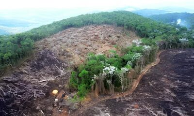 A Oportunidade que o Mundo Precisa Como se Tornar um Coordenador de Meio Ambiente no GRUPO NC e Liderar a Nova Era da Sustentabilidade
