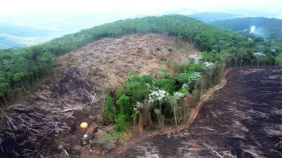 A Oportunidade que o Mundo Precisa: Como se Tornar um Coordenador de Meio Ambiente no GRUPO NC e Liderar a Nova Era da Sustentabilidade 12 A Oportunidade que o Mundo Precisa Como se Tornar um Coordenador de Meio Ambiente no GRUPO NC e Liderar a Nova Era da Sustentabilidade