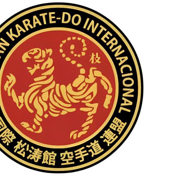 Araçatuba Brilha no Karatê: Como 27 Atletas Conquistaram 35 Medalhas e Levaram a Cidade ao Pódio do Paulista 13 Ara atuba Brilha no Karat Como 27 Atletas Conquistaram 35 Medalhas e Levaram a Cidade ao P dio do Paulista