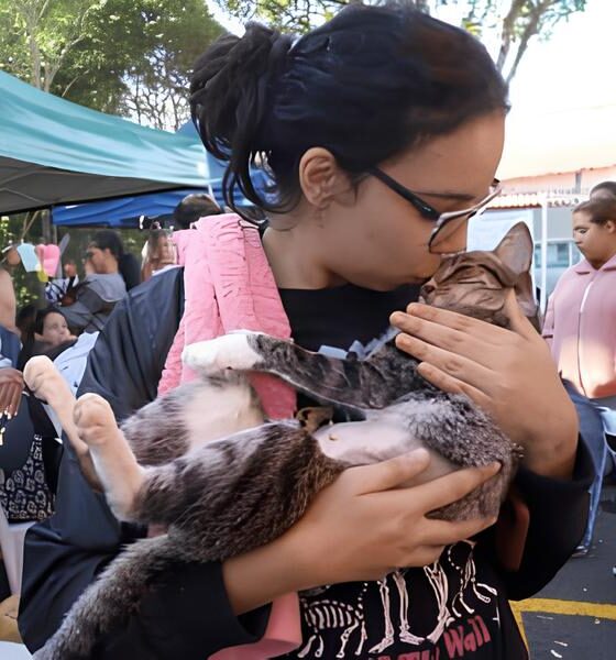 Campinas Em A o 1 600 Vagas Abertas Para Castra o Gratuita de C es e Gatos na Regi o do Oziel