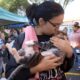 Campinas Em A o 1 600 Vagas Abertas Para Castra o Gratuita de C es e Gatos na Regi o do Oziel