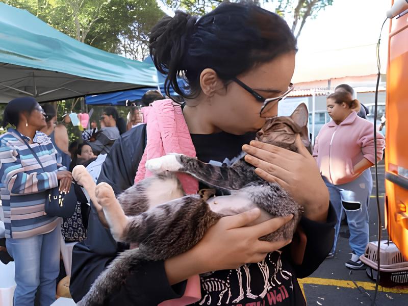 Campinas Em Ação: 1.600 Vagas Abertas Para Castração Gratuita de Cães e Gatos na Região do Oziel 12 Campinas Em A o 1 600 Vagas Abertas Para Castra o Gratuita de C es e Gatos na Regi o do Oziel