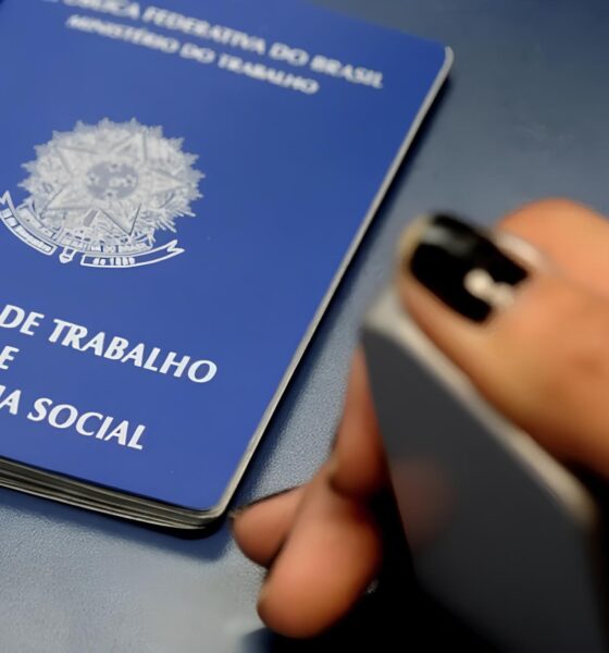 Campinas em Foco: 3,6 Mil Vagas Abertas Transformam a Região em Um Farol de Oportunidades no Mercado de Trabalho 13 Campinas em Foco 3 6 Mil Vagas Abertas Transformam a Regi o em Um Farol de Oportunidades no Mercado de Trabalho