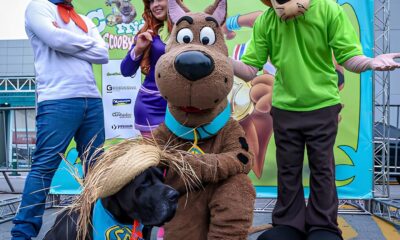 Capturando o Esp rito do Corredor Como as Fotos da Corrida Scooby Doo e Outros Eventos Est o Marcando Hist ria no Esporte Paulista
