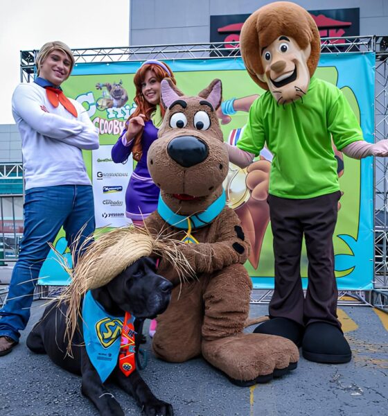 Capturando o Espírito do Corredor: Como as Fotos da Corrida Scooby-Doo e Outros Eventos Estão Marcando História no Esporte Paulista 13 Capturando o Esp rito do Corredor Como as Fotos da Corrida Scooby Doo e Outros Eventos Est o Marcando Hist ria no Esporte Paulista