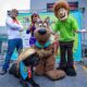 Capturando o Esp rito do Corredor Como as Fotos da Corrida Scooby Doo e Outros Eventos Est o Marcando Hist ria no Esporte Paulista