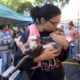 Castra o e Microchipagem Gratuitas Como 1 600 Animais de Campinas Est o Prestes a Mudar de Vida