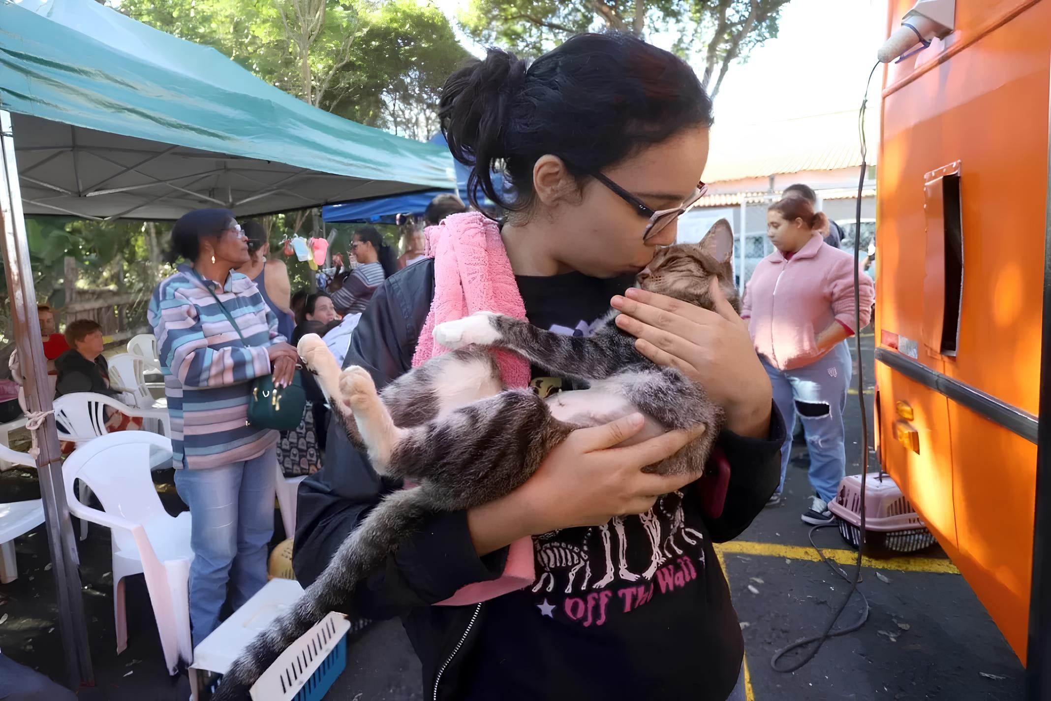 Castração e Microchipagem Gratuitas: Como 1.600 Animais de Campinas Estão Prestes a Mudar de Vida 12 Castra o e Microchipagem Gratuitas Como 1 600 Animais de Campinas Est o Prestes a Mudar de Vida
