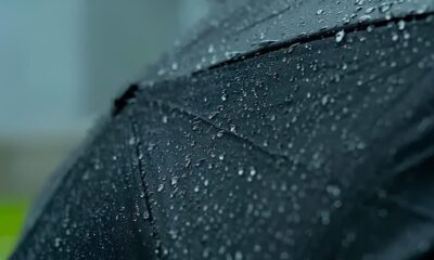 Chuva em Hortol ndia Como um Dia Cinzento Pode Revelar Belezas Inesperadas