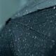 Chuva em Hortol ndia Como um Dia Cinzento Pode Revelar Belezas Inesperadas