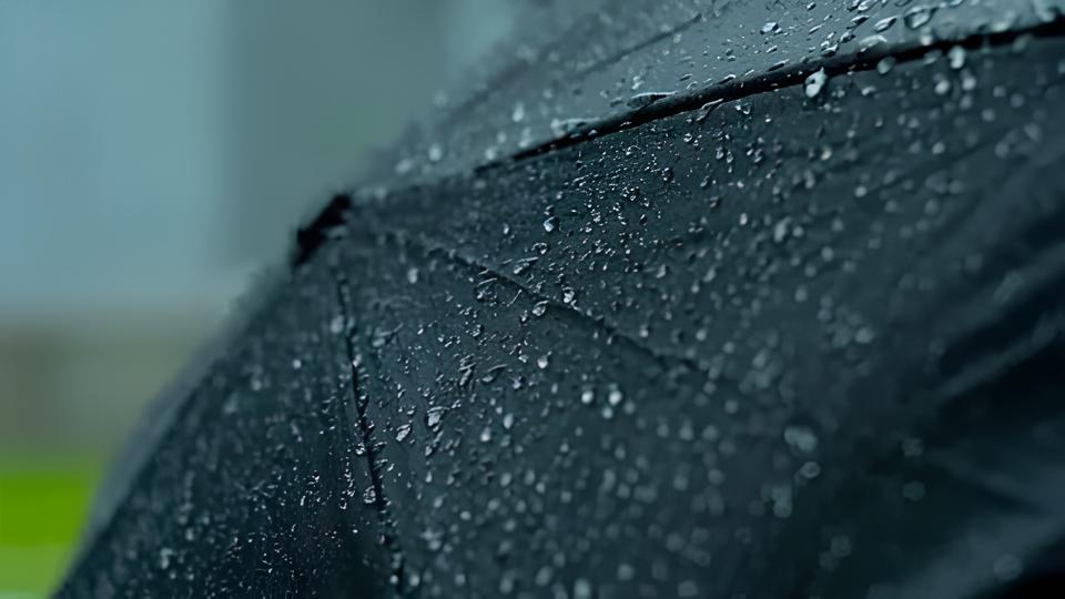 Chuva em Hortol ndia Como um Dia Cinzento Pode Revelar Belezas Inesperadas