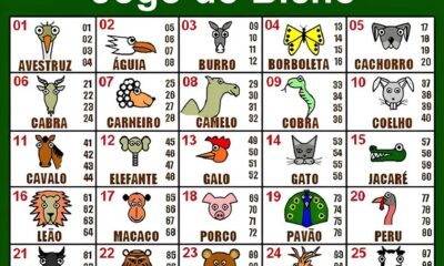 Como Bragan a Paulista Est Revolucionando o Bem Estar Animal com Lares Tempor rios Um Raio X do Programa Inovador que Promete Mudar Vidas