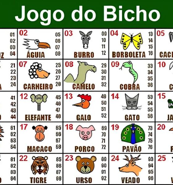 Como Bragan a Paulista Est Revolucionando o Bem Estar Animal com Lares Tempor rios Um Raio X do Programa Inovador que Promete Mudar Vidas