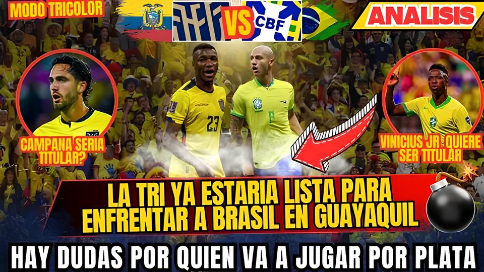 Como Conquistar o T tulo de Professor Titular no Brasil O Caminho para o Sucesso Acad mico e Profissional