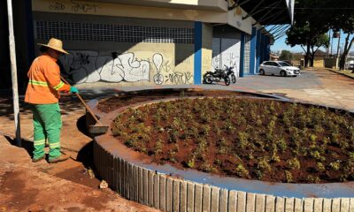 Como Goi nia Est Transformando Suas Pra as em Verdadeiros O sis Urbanos A For a Tarefa da Comurg e o Futuro das reas Verdes na Cidade