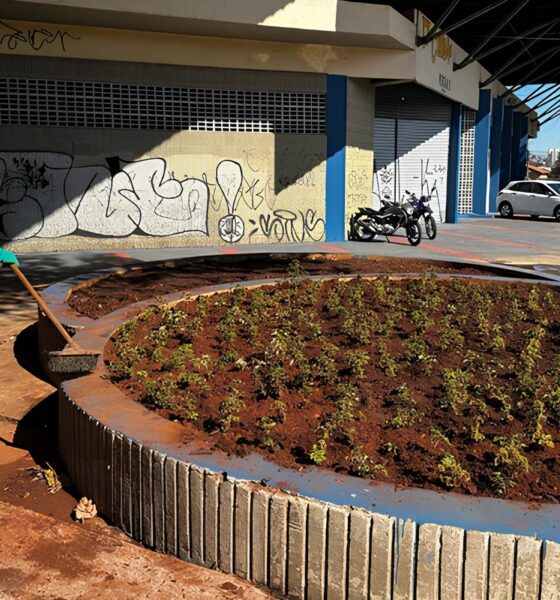 Como Goiânia Está Transformando Suas Praças em Verdadeiros Oásis Urbanos: A Força-Tarefa da Comurg e o Futuro das Áreas Verdes na Cidade 13 Como Goi nia Est Transformando Suas Pra as em Verdadeiros O sis Urbanos A For a Tarefa da Comurg e o Futuro das reas Verdes na Cidade