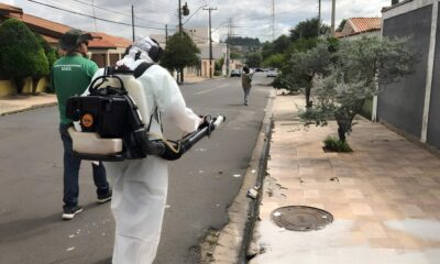 Como Hortol ndia Combate o Aedes aegypti Uma Luta Silenciosa que Salva Vidas