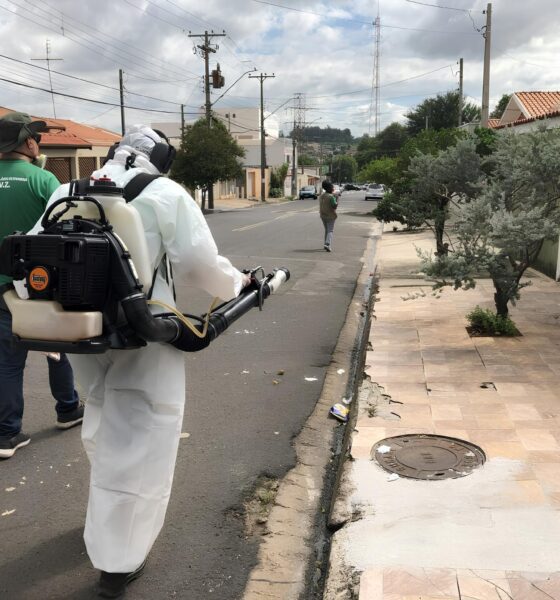 Como Hortol ndia Combate o Aedes aegypti Uma Luta Silenciosa que Salva Vidas