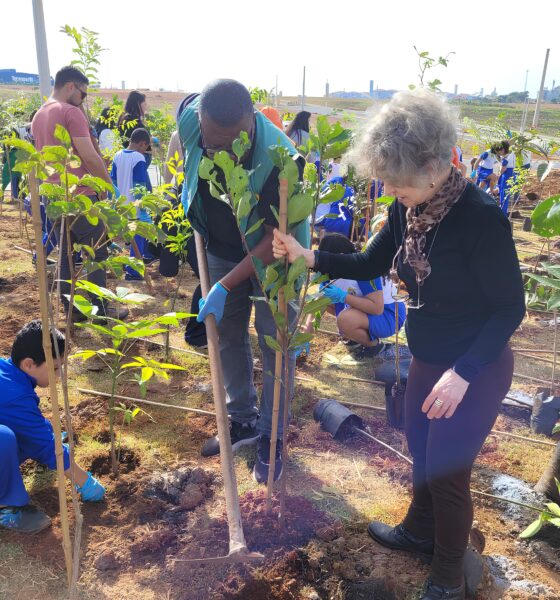 Como Hortolândia Está Transformando Suas Ruas em Florestas Urbanas: O Futuro Verde do Brasil? 13 Como Hortol ndia Est Transformando Suas Ruas em Florestas Urbanas O Futuro Verde do Brasil