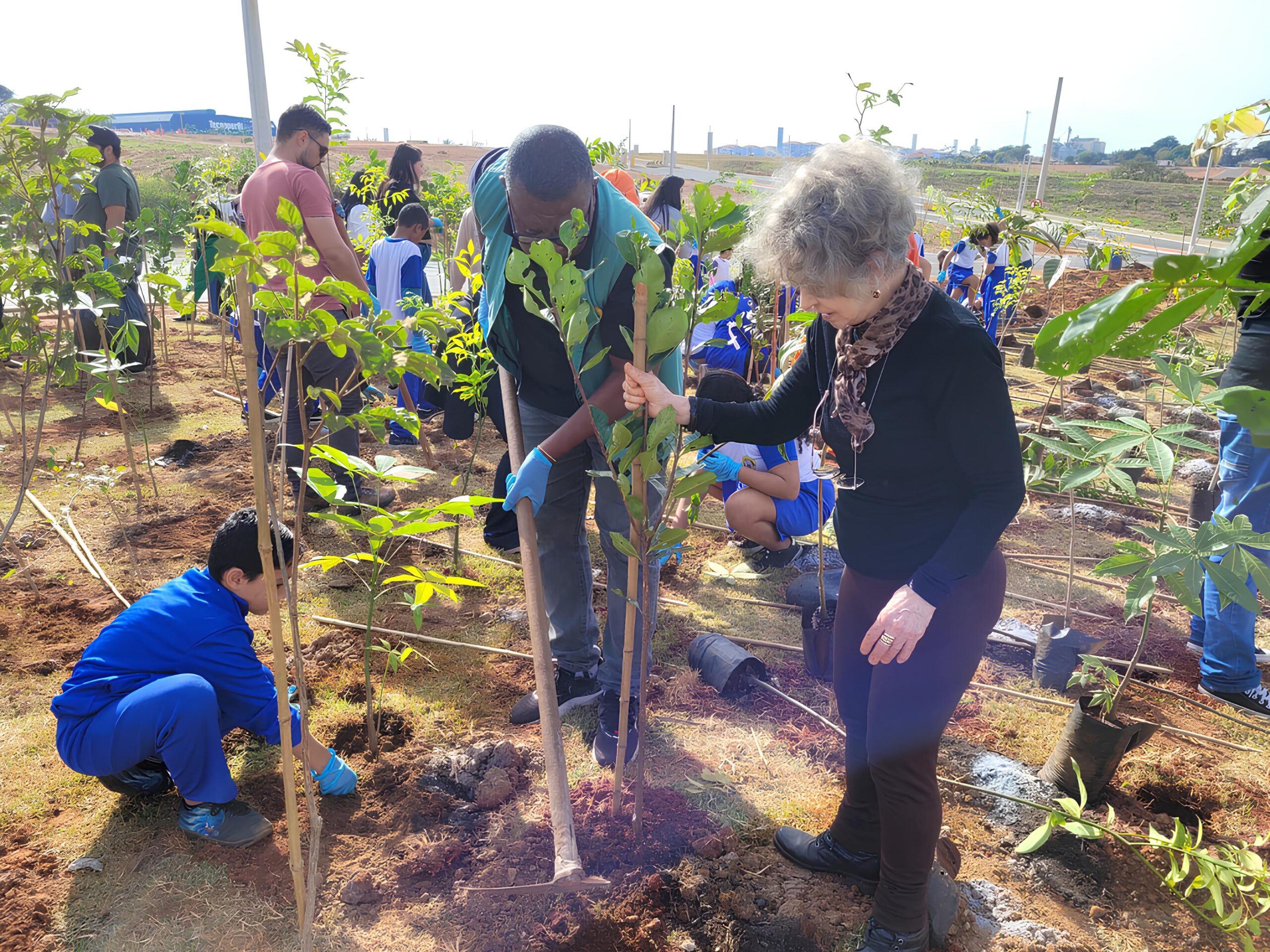 Como Hortolândia Está Transformando Suas Ruas em Florestas Urbanas: O Futuro Verde do Brasil? 12 Como Hortol ndia Est Transformando Suas Ruas em Florestas Urbanas O Futuro Verde do Brasil scaled