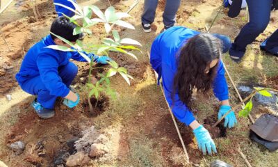 Como Hortol ndia Est Transformando o Futuro com o ICMS Ambiental Uma Nova Era de Sustentabilidade
