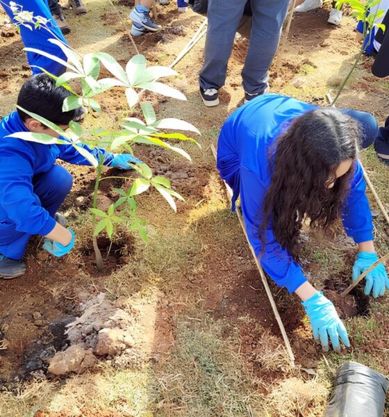 Como Hortol ndia Est Transformando o Futuro com o ICMS Ambiental Uma Nova Era de Sustentabilidade