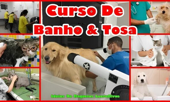Como Nova Odessa Est Formando Profissionais Para o Mercado Pet A Hist ria de Aline e o Impacto do Curso de Banho e Tosa