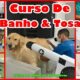Como Nova Odessa Est Formando Profissionais Para o Mercado Pet A Hist ria de Aline e o Impacto do Curso de Banho e Tosa