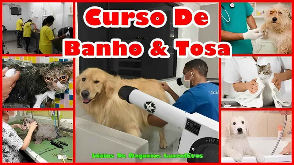 Como Nova Odessa Está Formando Profissionais Para o Mercado Pet: A História de Aline e o Impacto do Curso de Banho e Tosa 12 Como Nova Odessa Est Formando Profissionais Para o Mercado Pet A Hist ria de Aline e o Impacto do Curso de Banho e Tosa