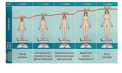 Como Sumar Est Moldando o Futuro da Economia Local A Hist ria de uma Parceria Transformadora