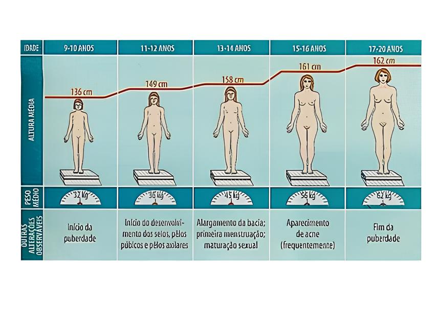 Como Sumaré Está Moldando o Futuro da Economia Local: A História de uma Parceria Transformadora 12 Como Sumar Est Moldando o Futuro da Economia Local A Hist ria de uma Parceria Transformadora