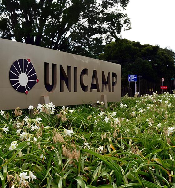 Como a Feira de Carreiras da Unicamp Black Network Est Mudando o Jogo para Jovens Negros no Mercado de Trabalho