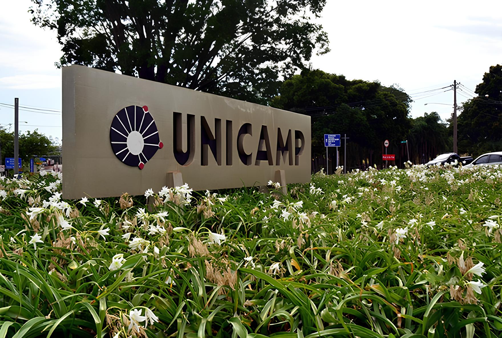 Como a Feira de Carreiras da Unicamp Black Network Est Mudando o Jogo para Jovens Negros no Mercado de Trabalho