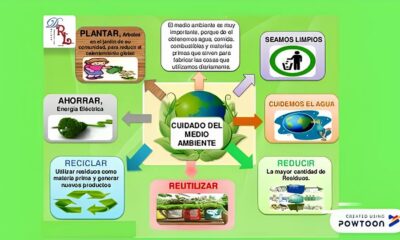 Como o Cargo de Coordenador Meio Ambiente Est Redefinindo o Futuro da Sustentabilidade no Brasil