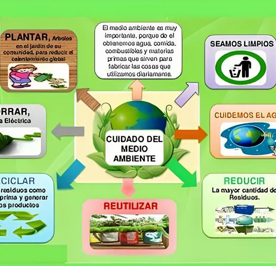 Como o Cargo de Coordenador Meio Ambiente Est Redefinindo o Futuro da Sustentabilidade no Brasil