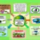 Como o Cargo de Coordenador Meio Ambiente Est Redefinindo o Futuro da Sustentabilidade no Brasil