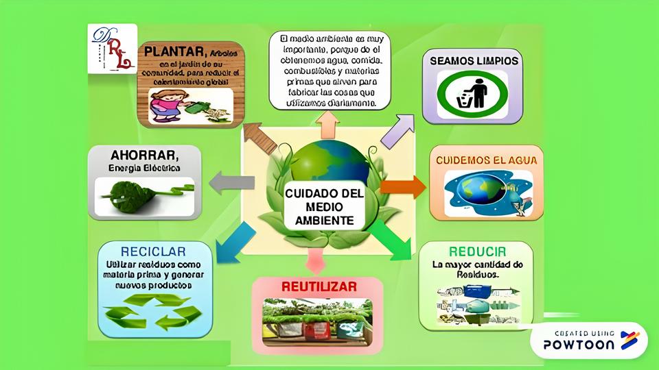 Como o Cargo de Coordenador Meio Ambiente Está Redefinindo o Futuro da Sustentabilidade no Brasil 12 Como o Cargo de Coordenador Meio Ambiente Est Redefinindo o Futuro da Sustentabilidade no Brasil