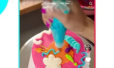 Como o TikTok Revolucionou a Forma de Consumir Conte do no Mundo Digital