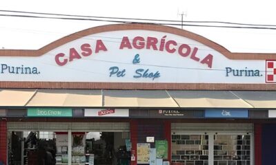 Como o Tivoli Shopping Est Transformando Vidas com o Projeto Adote um Pet