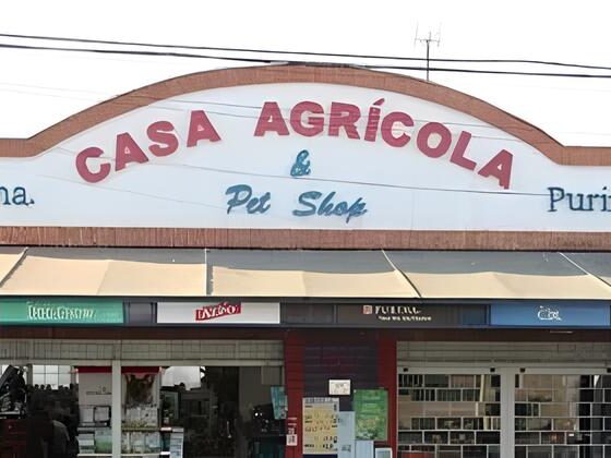 Como o Tivoli Shopping Está Transformando Vidas com o Projeto Adote um Pet 13 Como o Tivoli Shopping Est Transformando Vidas com o Projeto Adote um Pet