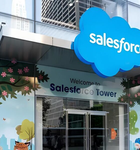 Como se Tornar um Gerente de Projetos Salesforce na IBM: Um Passo Crucial para sua Carreira em Indaiatuba e Hortolândia 13 Como se Tornar um Gerente de Projetos Salesforce na IBM Um Passo Crucial para sua Carreira em Indaiatuba e Hortol ndia