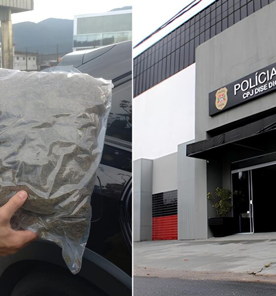 Como um Carro Dublê e uma Carga de Maconha Revelaram o Futuro do Combate ao Crime no Litoral Paulista 13 Como um Carro Dubl e uma Carga de Maconha Revelaram o Futuro do Combate ao Crime no Litoral Paulista